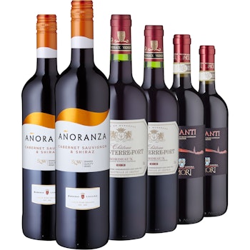 Rotwein-Set europäische Klassiker, 6 Flaschen