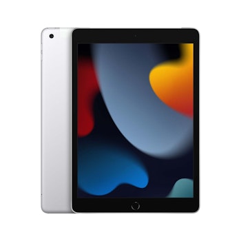 iPad 2021 MK4H3FD/A 256 GB Wi-Fi+Cell, silber